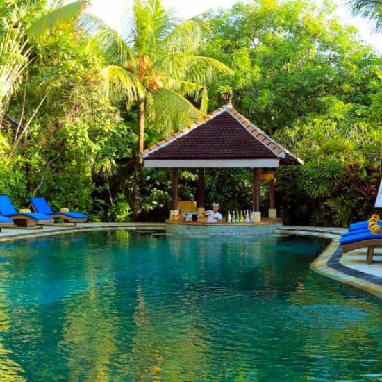 Deluxe Seminyak & Ubud Tonys Villas Swim up bar